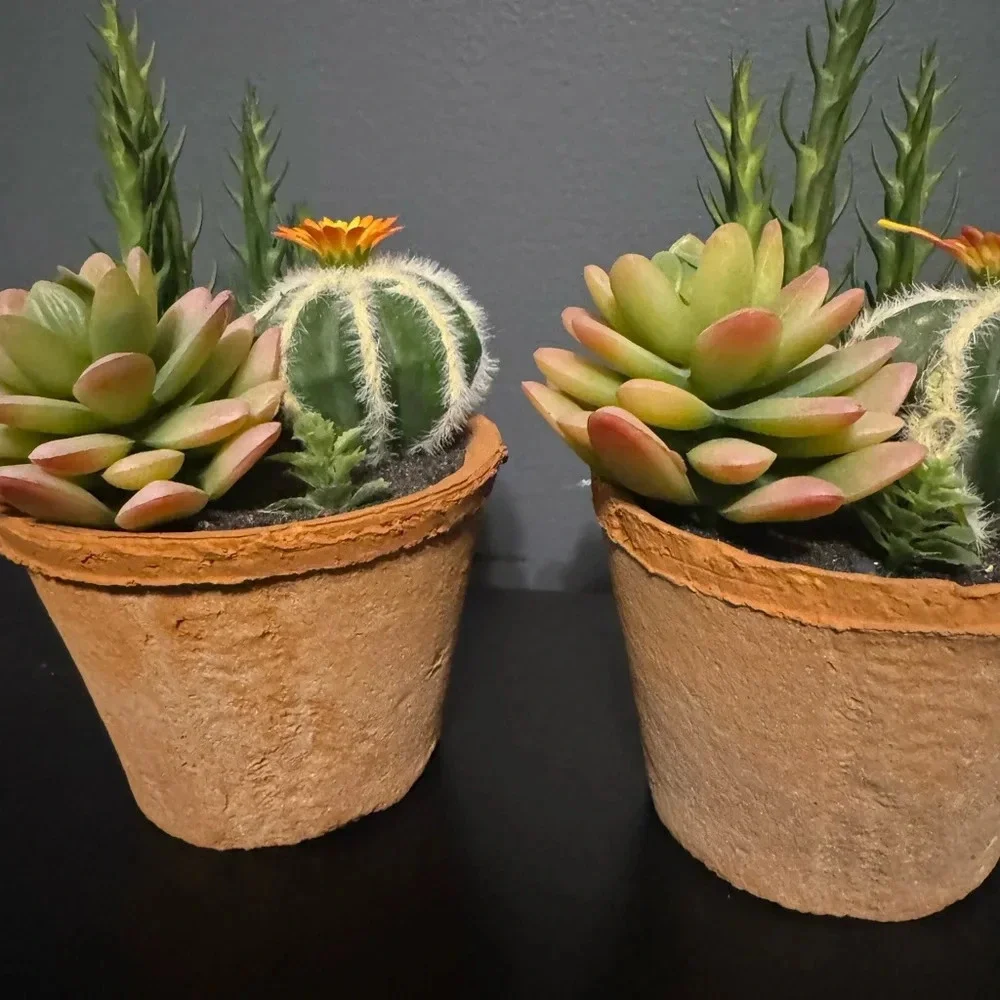 Fake succulent decor set of 2